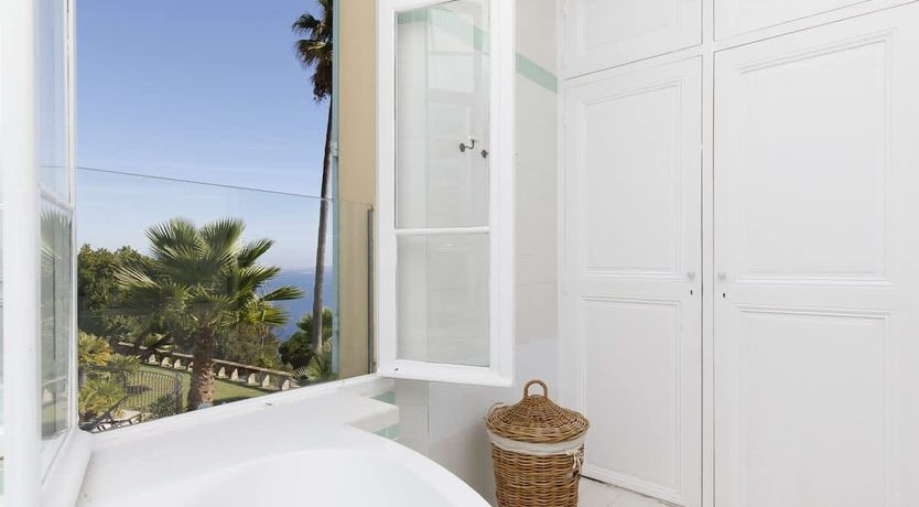 Photo of Eucalyptus Air