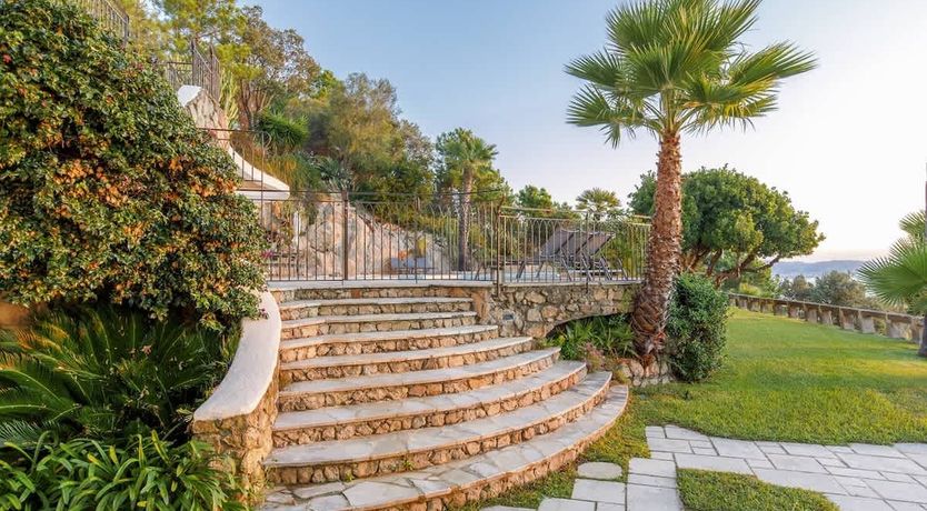 Photo of Eucalyptus Air