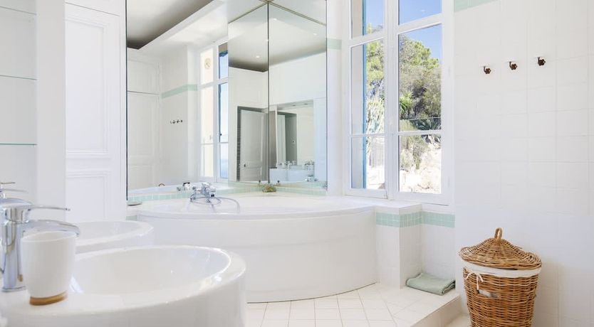 Photo of Eucalyptus Air