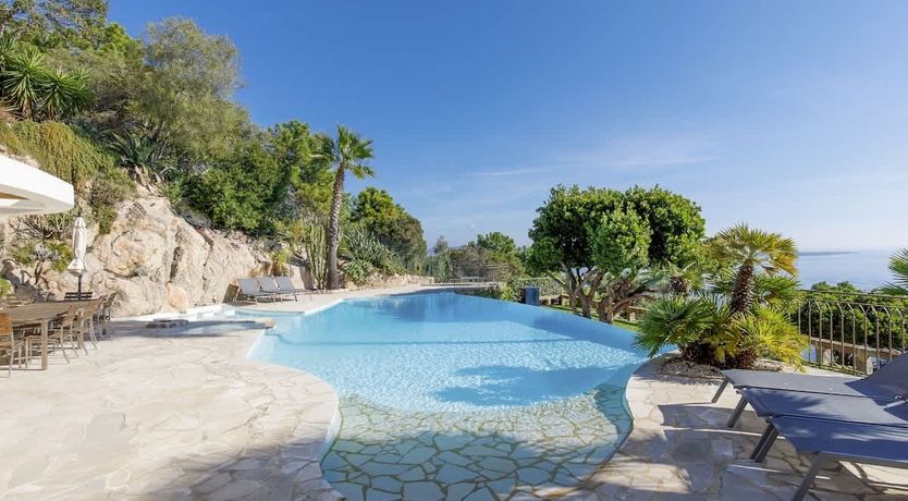 Photo of Eucalyptus Air