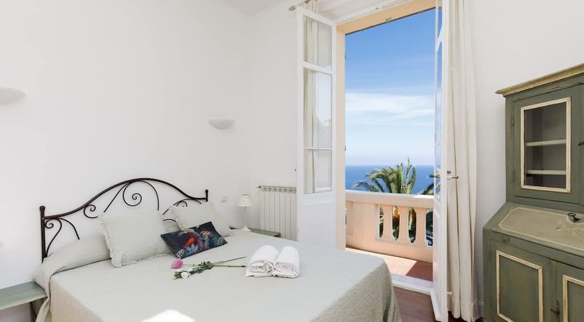 Photo of Eucalyptus Air