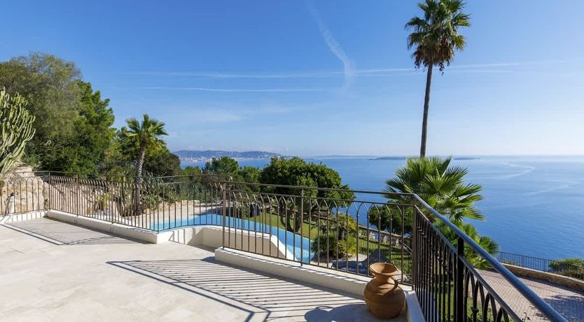 Photo of Eucalyptus Air