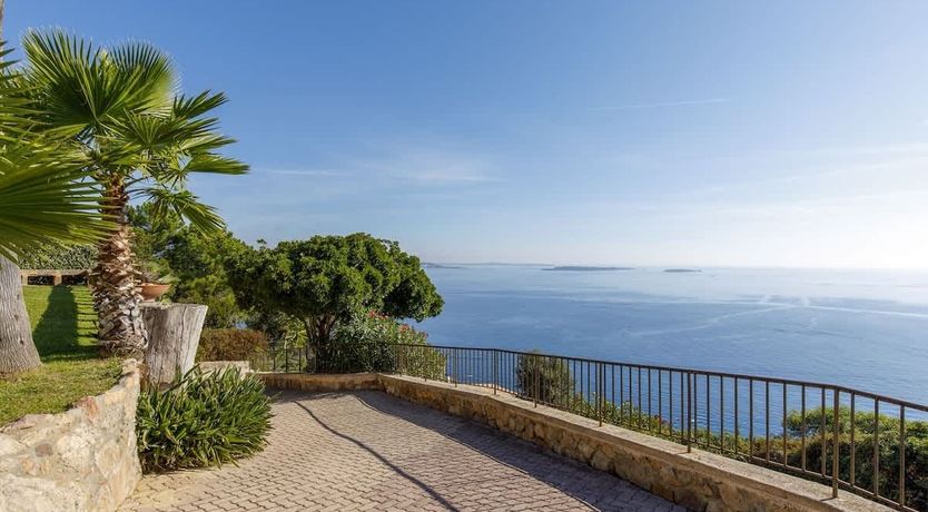 Photo of Eucalyptus Air