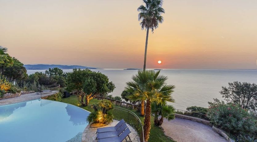 Photo of Eucalyptus Air