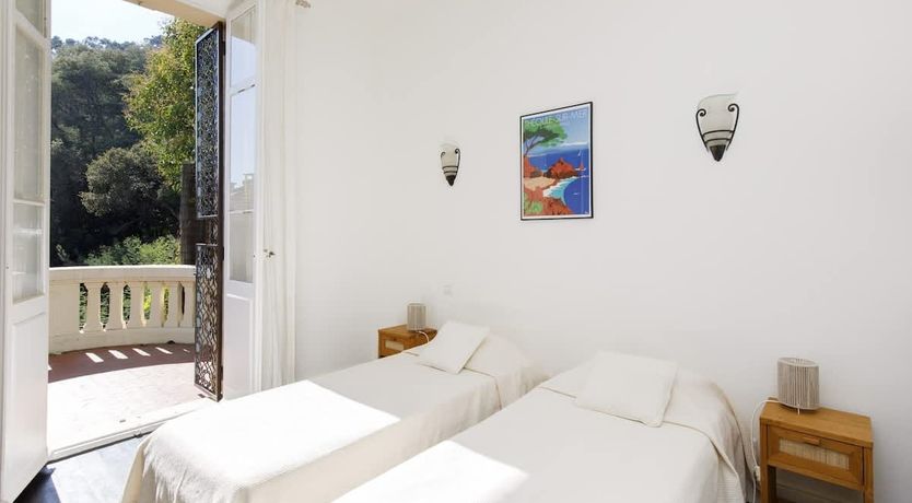 Photo of Eucalyptus Air