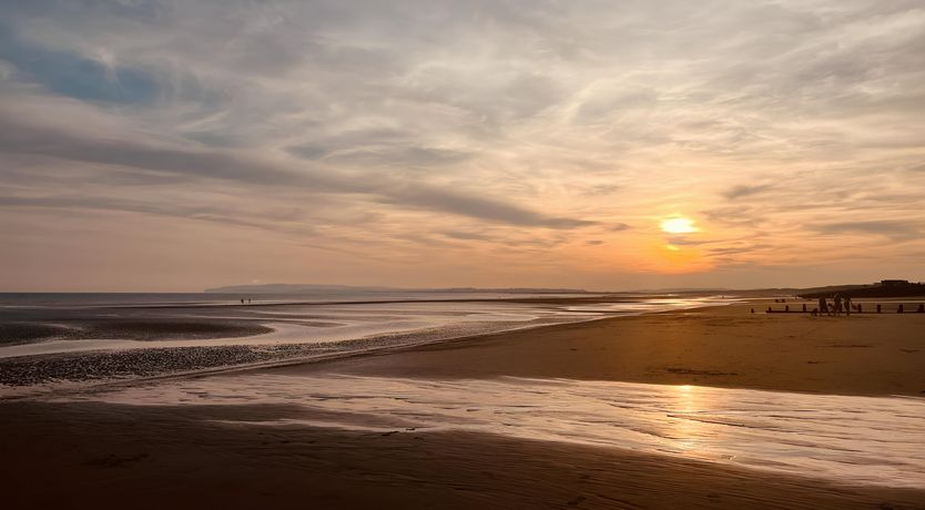 Photo of Camber Calling