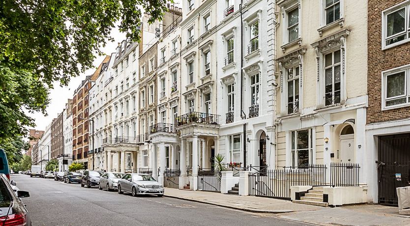 Photo of Bayswater Bloom