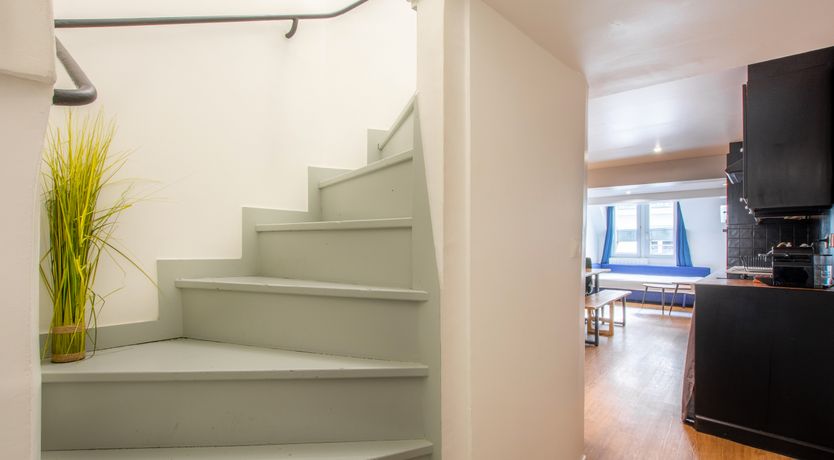 Photo of The New Star