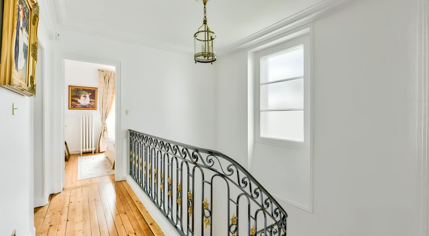 Photo of King of Paris