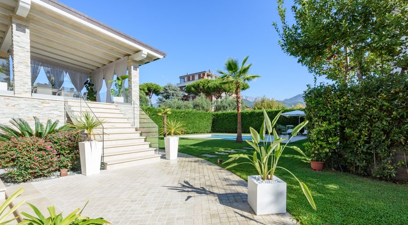 Photo of Light of Joy