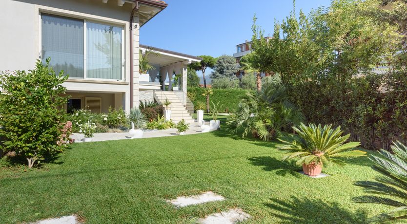 Photo of Light of Joy