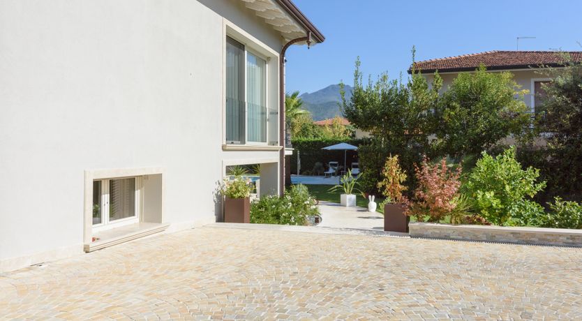 Photo of Light of Joy