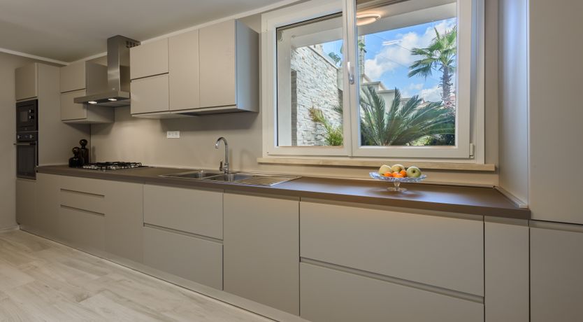 Photo of Light of Joy