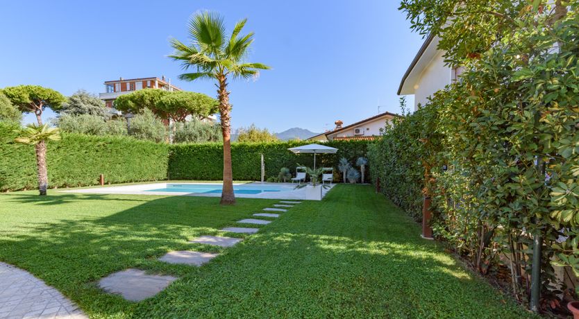 Photo of Light of Joy