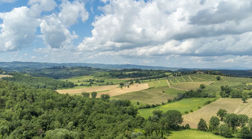 Photo of Campi di Lavanda