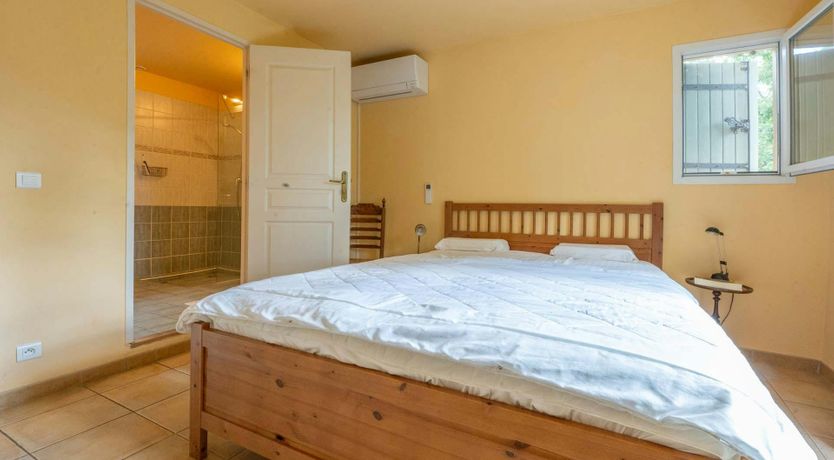 Photo of Provence Roses