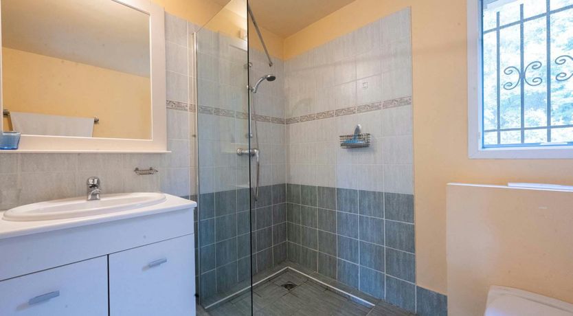 Photo of Provence Roses