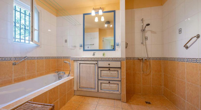 Photo of Provence Roses