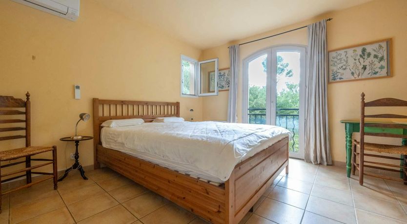 Photo of Provence Roses