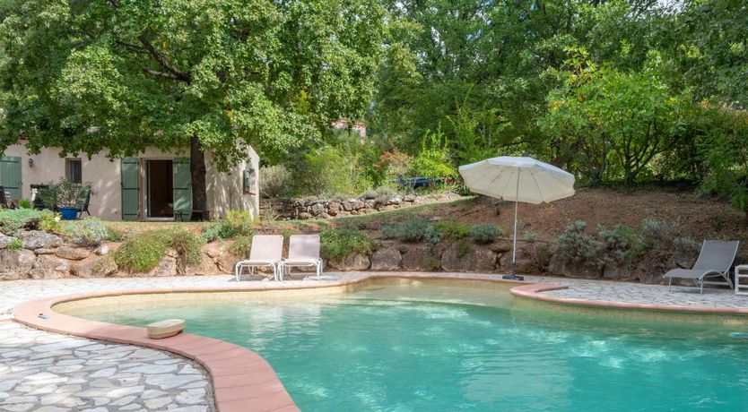 Photo of Provence Roses