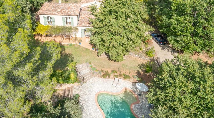 Photo of Provence Roses