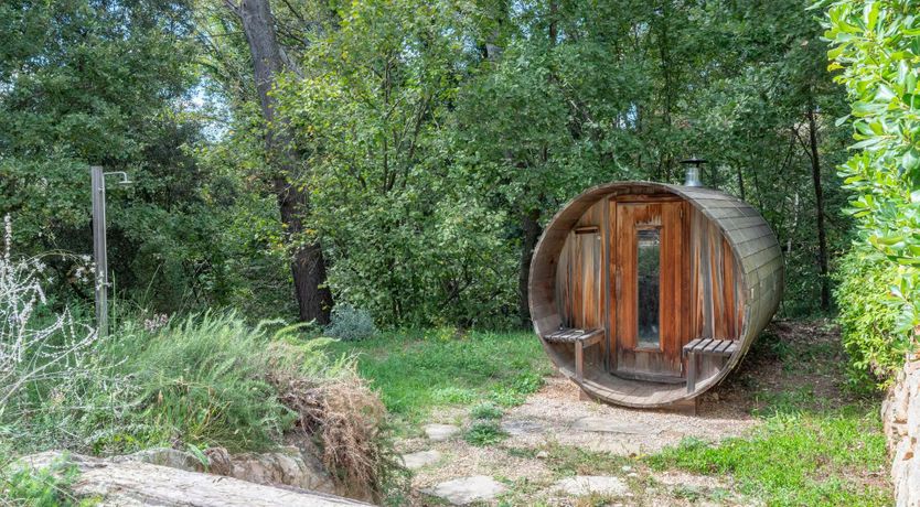 Photo of Provence Roses