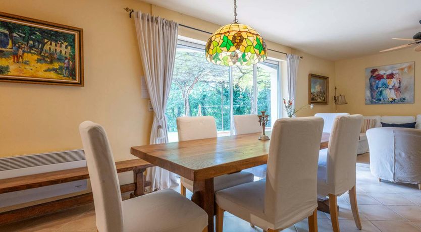 Photo of Provence Roses