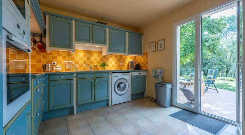 Photo of Provence Roses