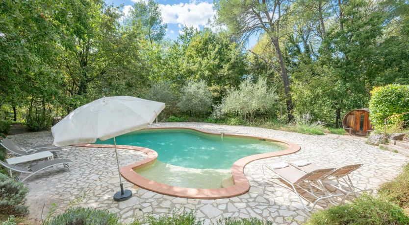 Photo of Provence Roses