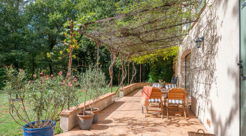 Photo of Provence Roses