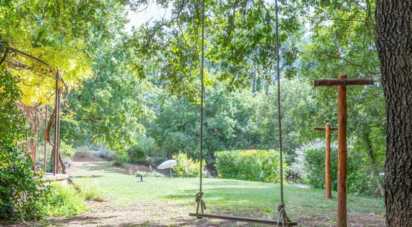 Photo of Provence Roses