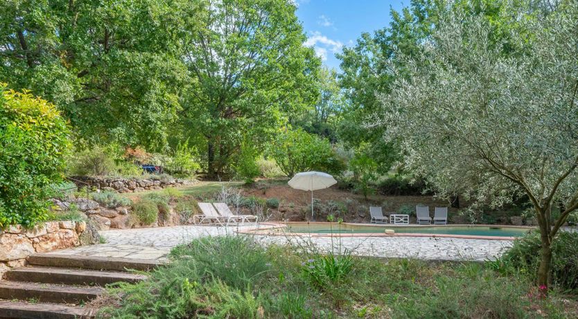 Photo of Provence Roses