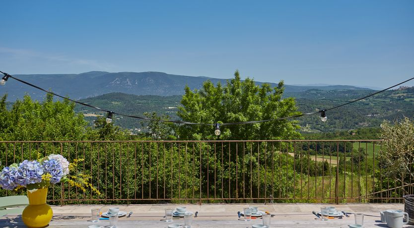 Photo of Lavender & Vines