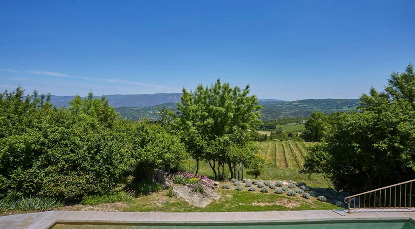 Photo of Lavender & Vines