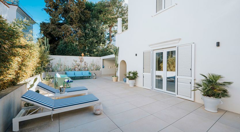 Photo of Song of Wonder