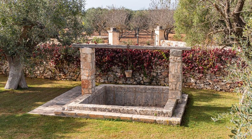 Photo of Speck of Light