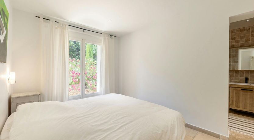 Photo of Luberon Lavender