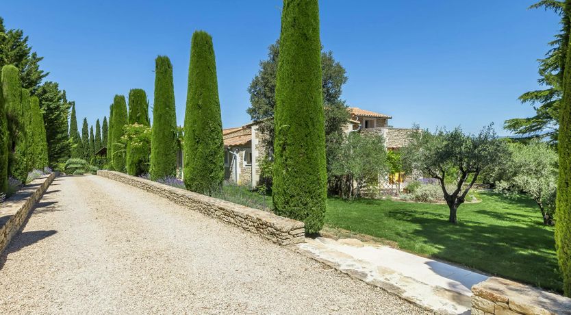 Photo of Luberon Lavender