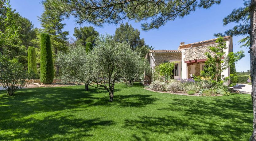 Photo of Luberon Lavender