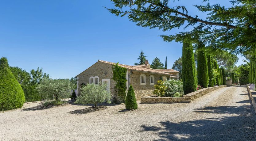 Photo of Luberon Lavender
