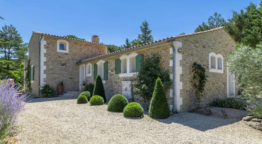 Photo of Luberon Lavender