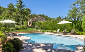 Photo of Luberon Lavender