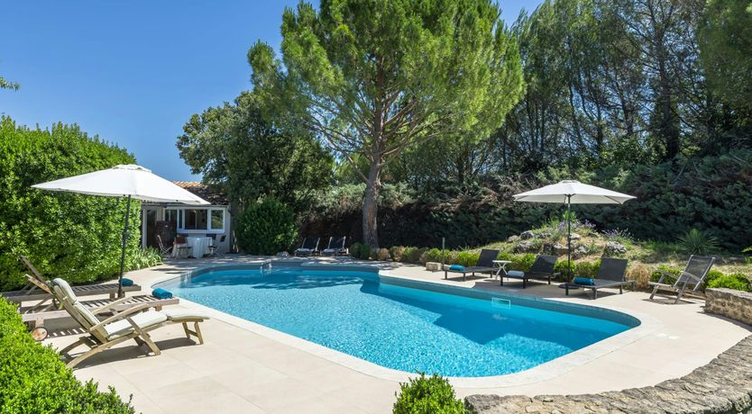 Photo of Luberon Lavender