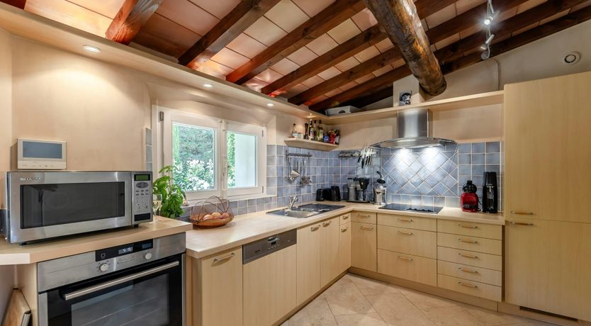 Photo of Luberon Lavender