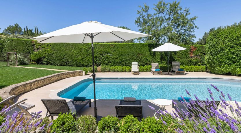 Photo of Luberon Lavender