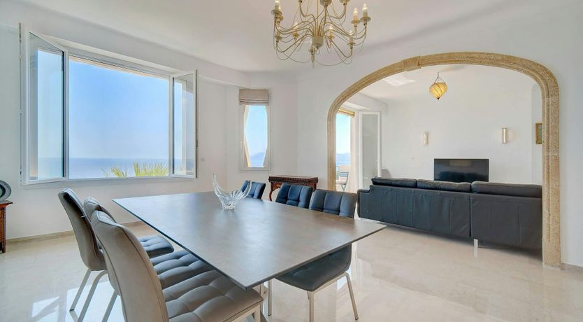 Photo of Palms & Panoramas