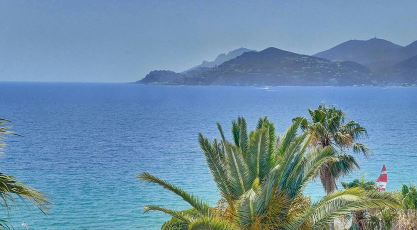 Photo of Palms & Panoramas