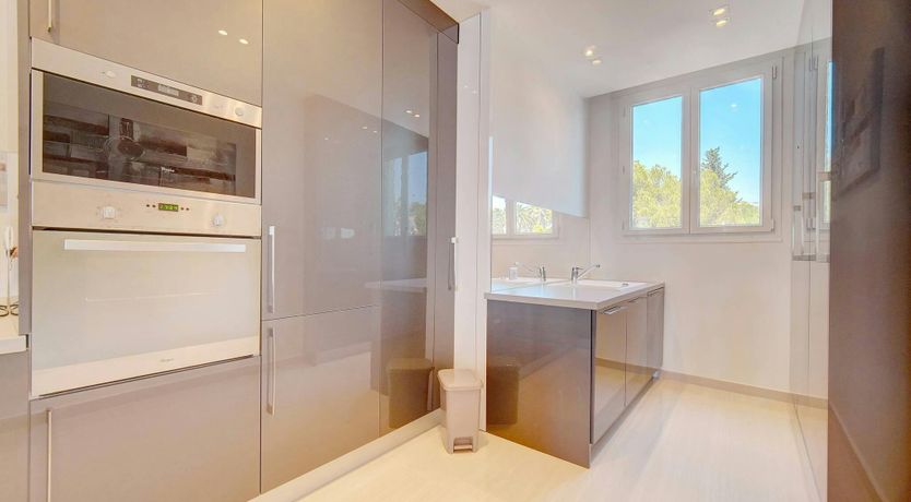 Photo of Palms & Panoramas