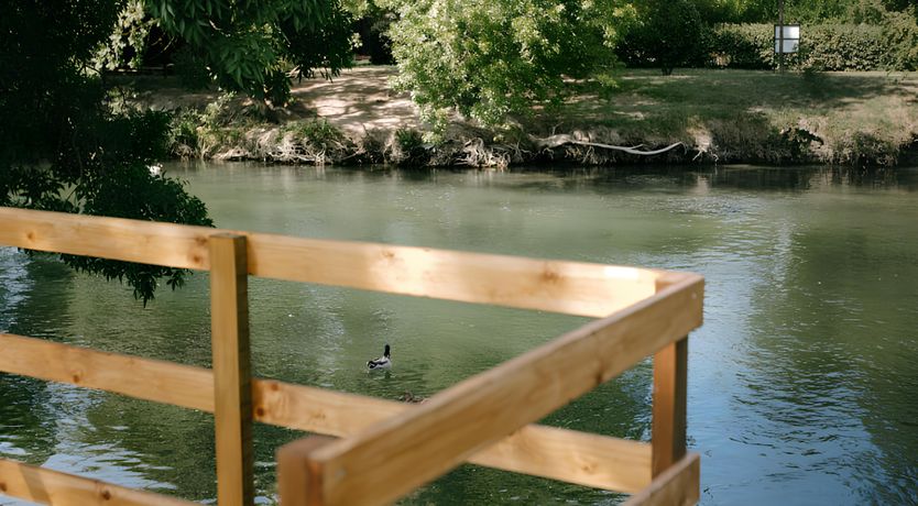 Photo of Thor's Paradise