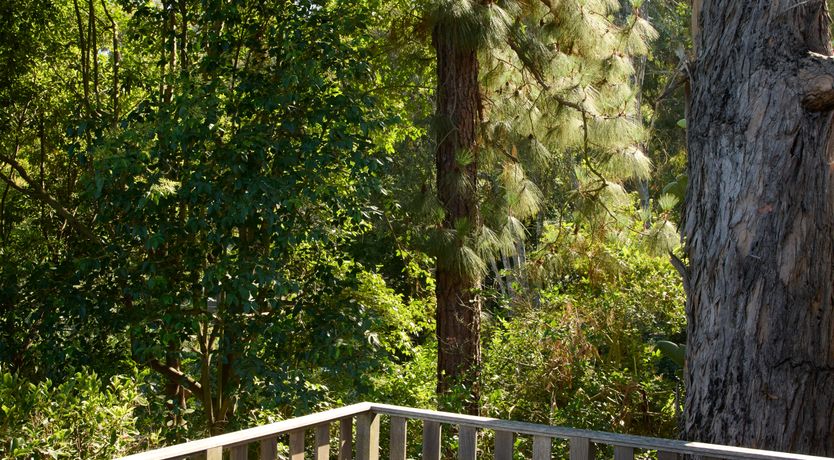 Photo of The Hollywood Retreat